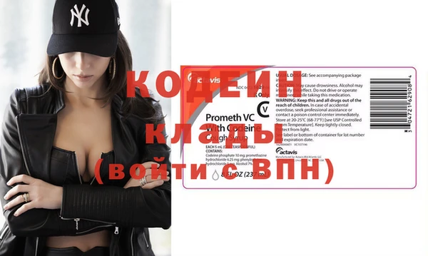 хмурый Алексин