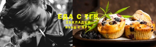 хмурый Алексин