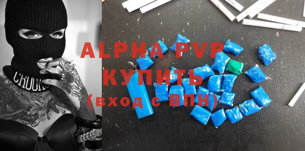 хмурый Алексин