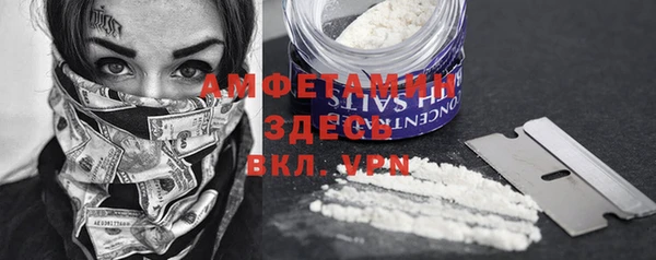 первитин Михайлов