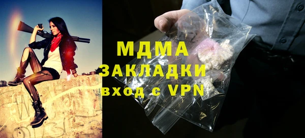 хмурый Алексин