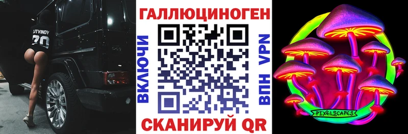 Галлюциногенные грибы Psilocybe  Обнинск 