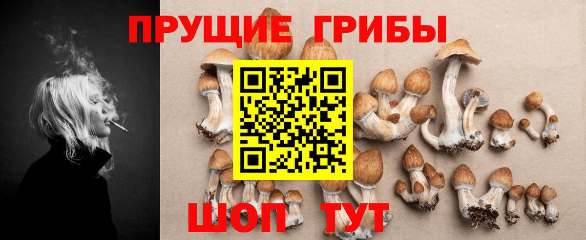 Псилоцибиновые грибы MAGIC MUSHROOMS Обнинск