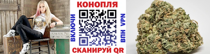Конопля SATIVA & INDICA где купить Обнинск