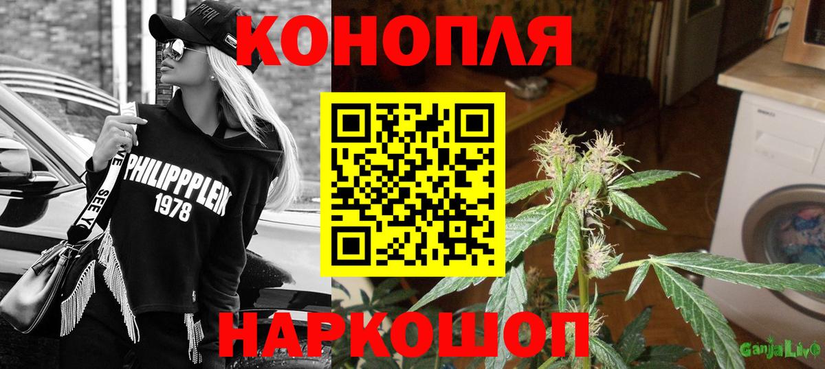 Конопля план Обнинск
